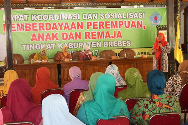 AKOR PEMBERDAYAAN PEREMPUAN, ANAK DAN REMAJA